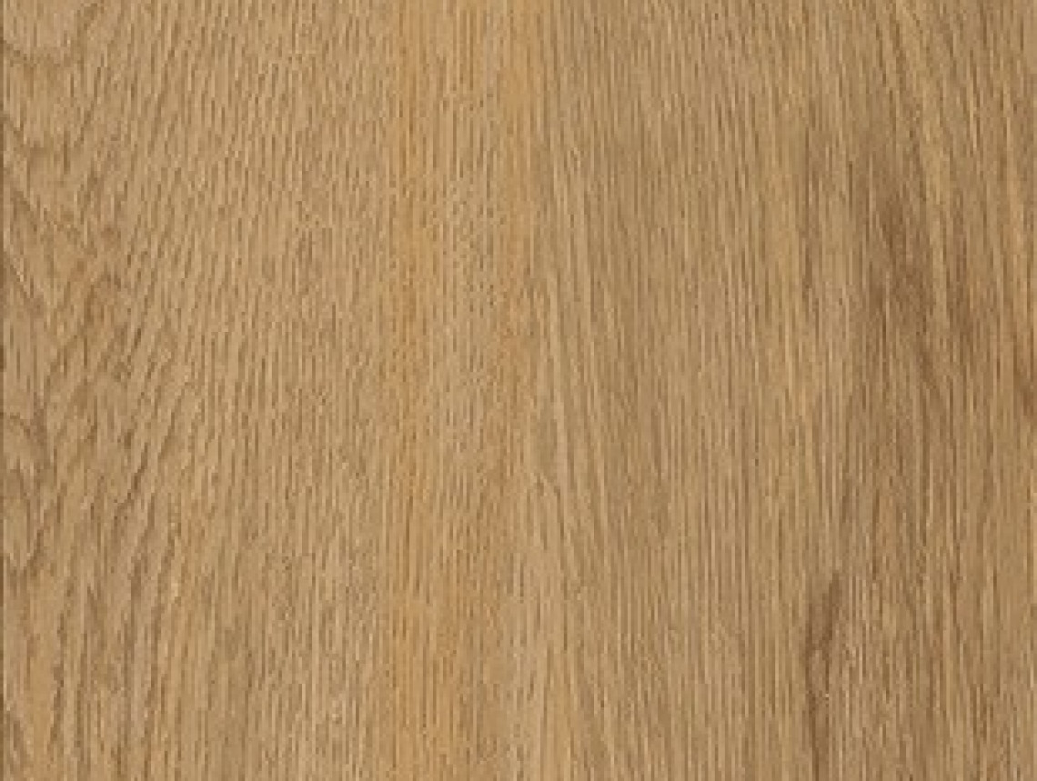 Creation 55 Rigid Acoustic - 0859 Quartet Fauve